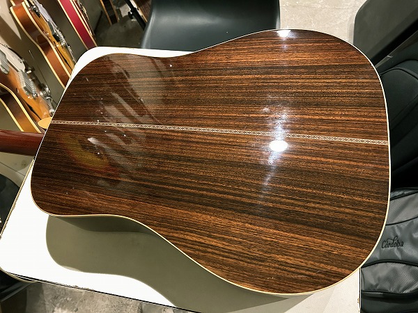 MORRIS M-2001 オール単板モデル - Teenarama! Used Guitar - 中古